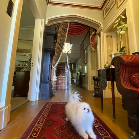 Frühstückspension St Marys Mount