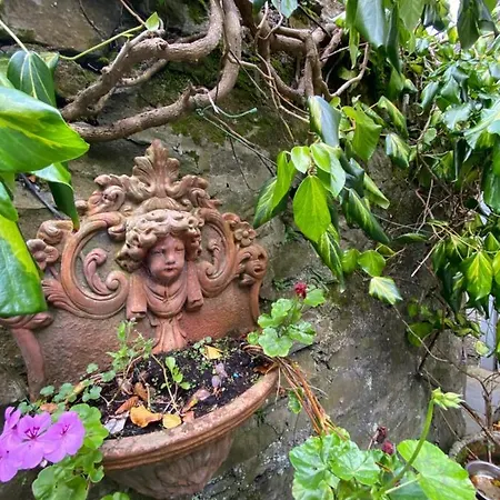 St Marys Mount Frühstückspension