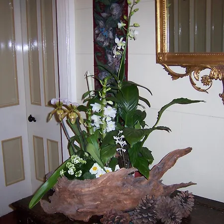 Bed & Breakfast St Marys Mount 4*