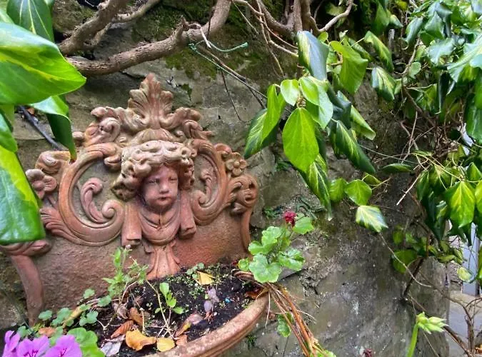 St Marys Mount Bed & Breakfast