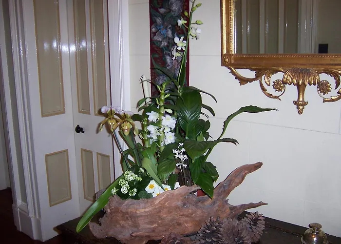 Bed & Breakfast St Marys Mount 4*